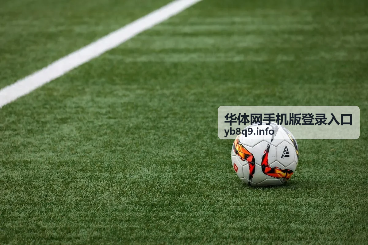 华体网手机版登录入口手机端报名与赛程界面示意
