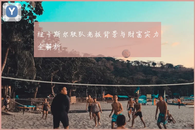 纽卡斯尔联队老板背景与财富实力全解析