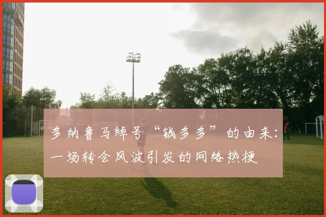 多纳鲁马绰号“钱多多”的由来：一场转会风波引发的网络热梗