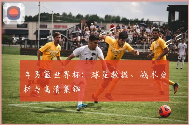 年男篮世界杯:球星数据、战术分析与高清集锦