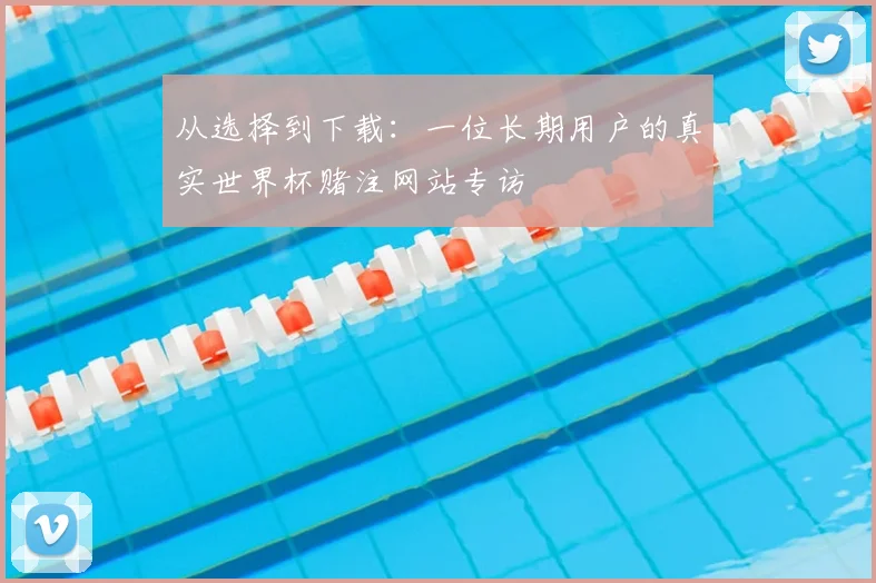 从选择到下载：一位长期用户的真实世界杯赌注网站专访