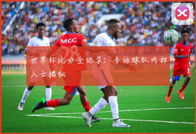 世界杯比分全记录：专访球队内部人士揭秘
