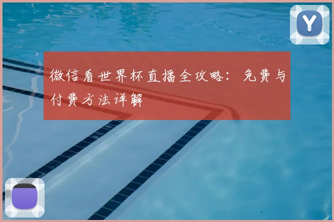 微信看世界杯直播全攻略：免费与付费方法详解