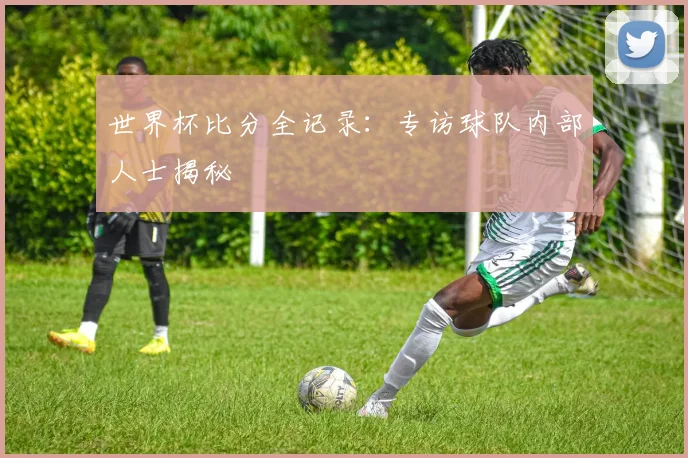 世界杯比分全记录：专访球队内部人士揭秘