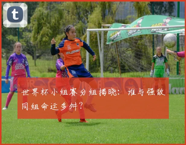 世界杯小组赛分组揭晓:谁与强敌同组命运多舛?