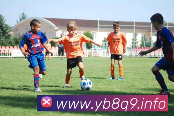 九游官网登录入口网页版下载APP 封面图